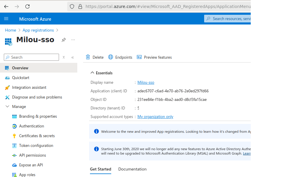 App Overview Client and Tenant ID